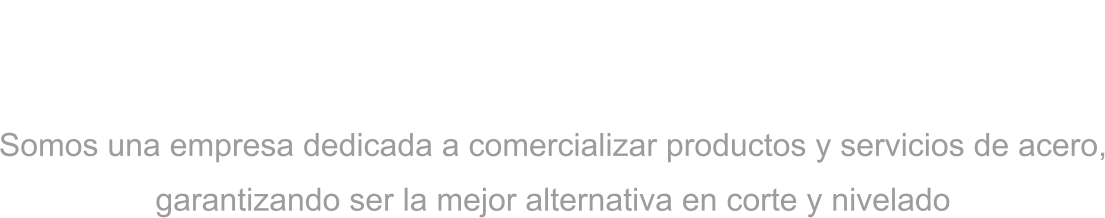 GRUPO TYSA Somos una empresa dedicada a comercializar productos y servicios de acero, garantizando ser la mejor alternativa en corte y nivelado